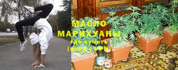 молекула духа Бердск