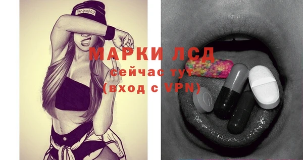 молекула духа Бердск