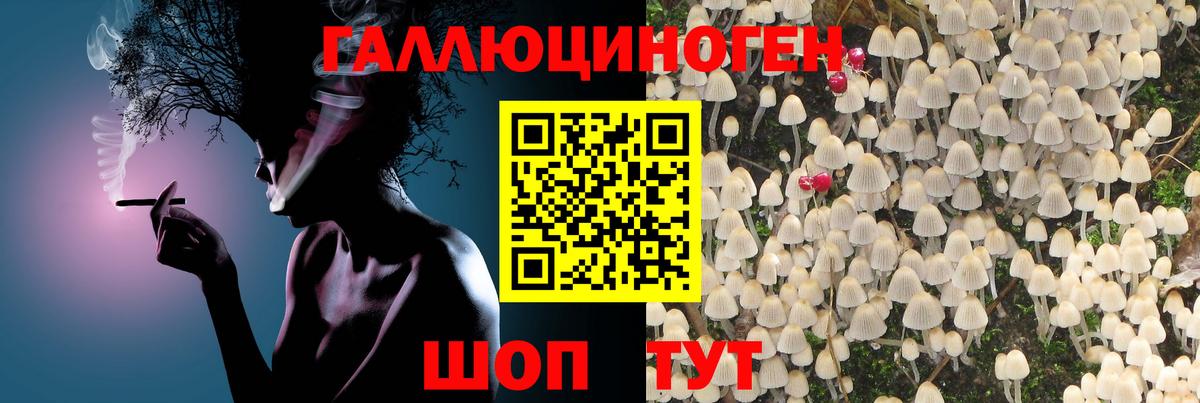 Псилоцибиновые грибы прущие грибы Балашов